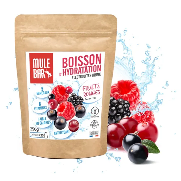 Packung von Mulebar Boisson d’hydratation en poudre